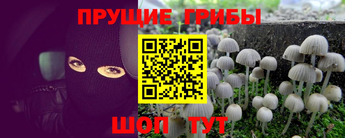 Псилоцибиновые грибы мухоморы Унеча