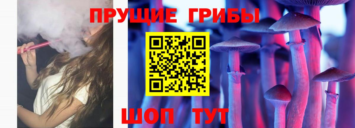 Унеча  Псилоцибиновые грибы MAGIC MUSHROOMS  Вход с VPN  Псилоцибиновые грибы мицелий 